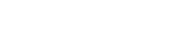 Playbhoomi Logo